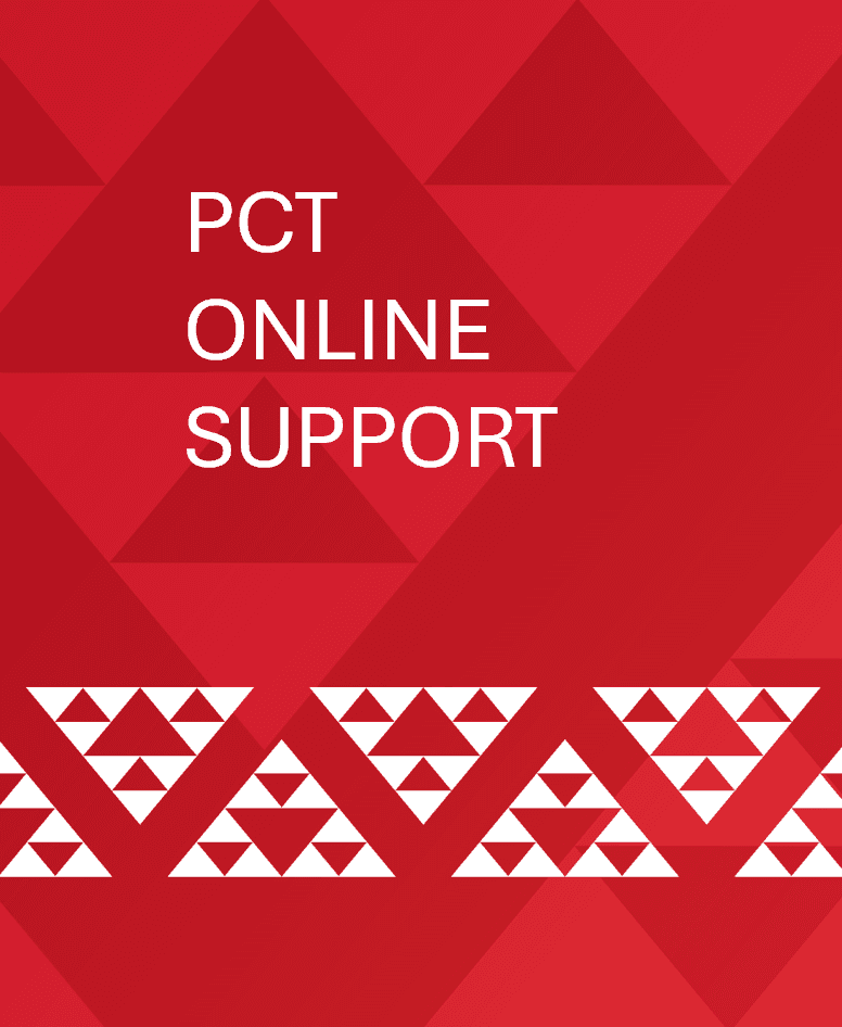 PCT Online Support Programme: Induction and Mentoring - An Overview