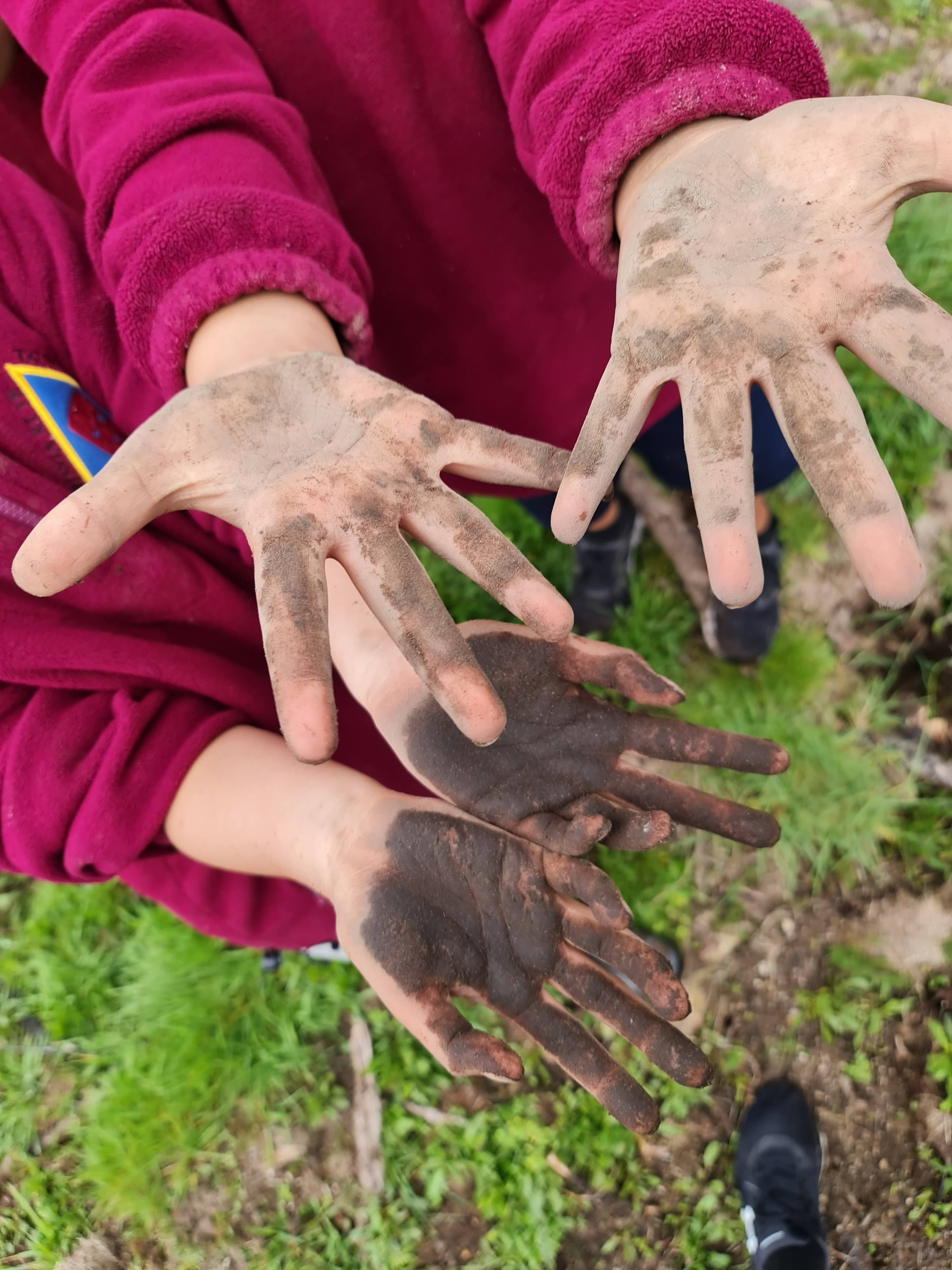 Tākarokaro Kōhao Rau - The Alchemy of Play