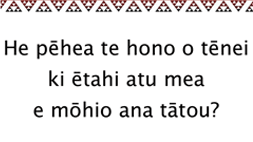 Critical Thinking Questions - set 2