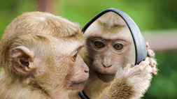 Leader Self-reflection: Professional Relationships