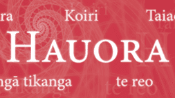 Wall banner: Hauora | Physical Education