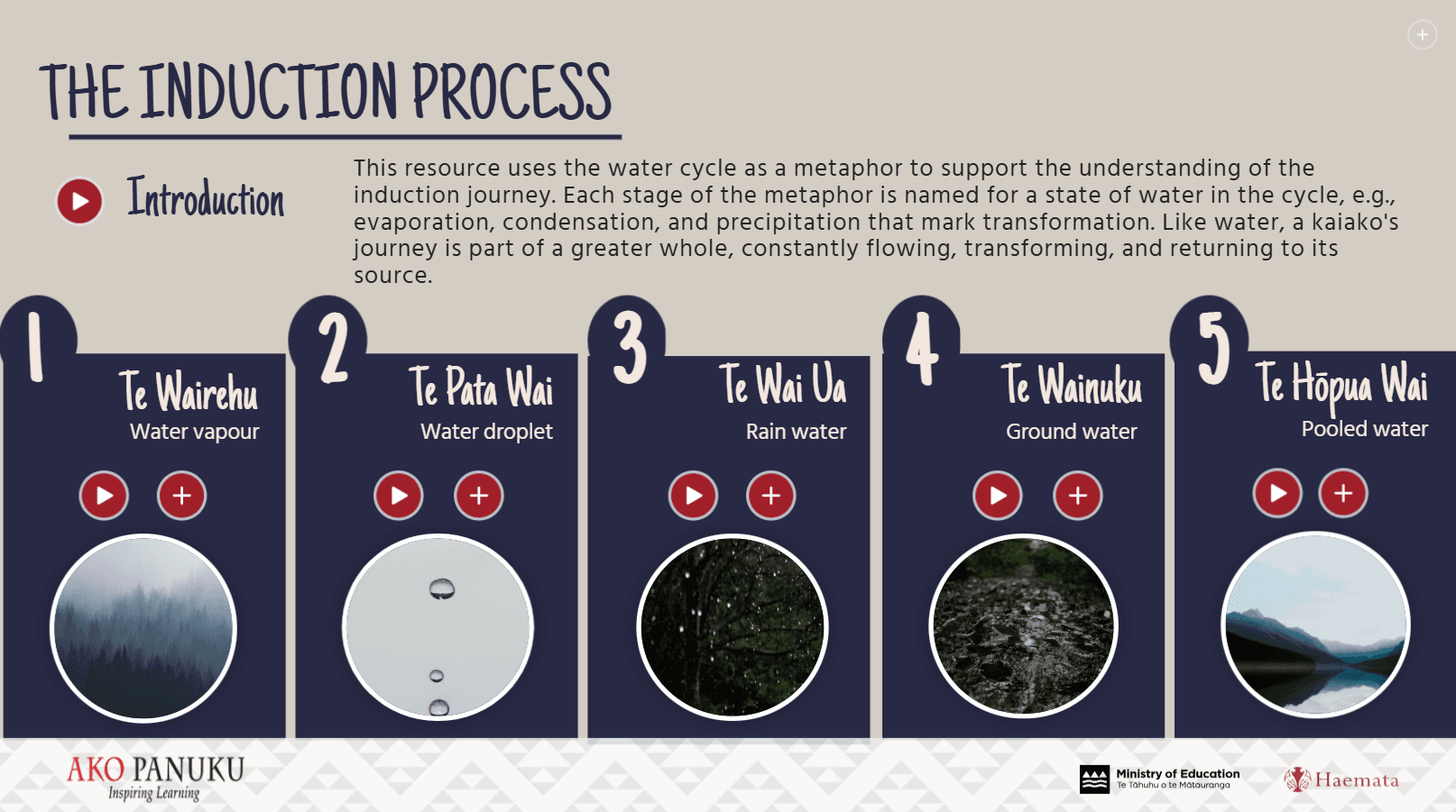 The Induction Process